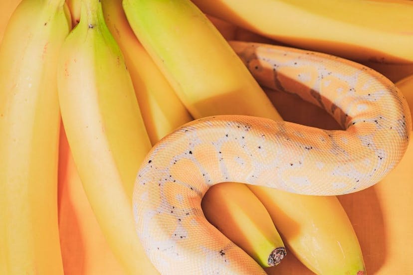 /the-magic-of-iterators-build-python-range-in-java-script feature image