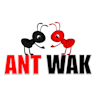 Abeshek_AntWak