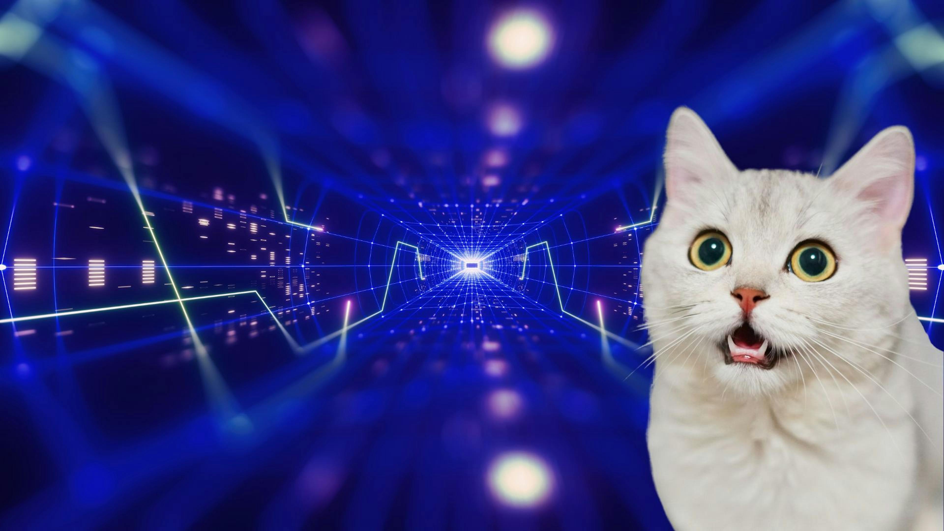 featured image - Physical Proximity Will no Longer be Necessary For Social Interaction with the Metaverse