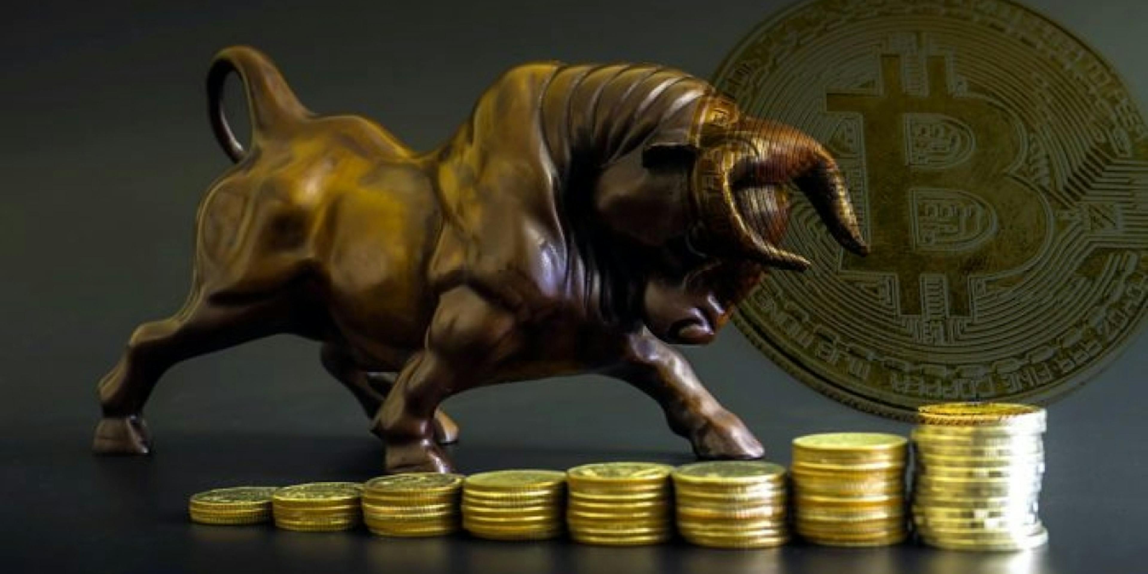 /concentrating-on-the-utility-of-bitcoin-wplt3zlz feature image