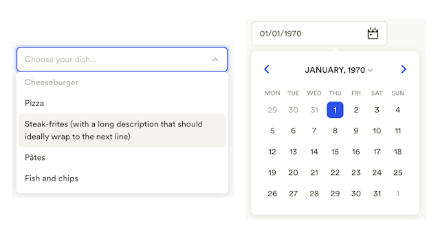 /proper-display-of-custom-dropdown-elements-a-how-to-guide feature image