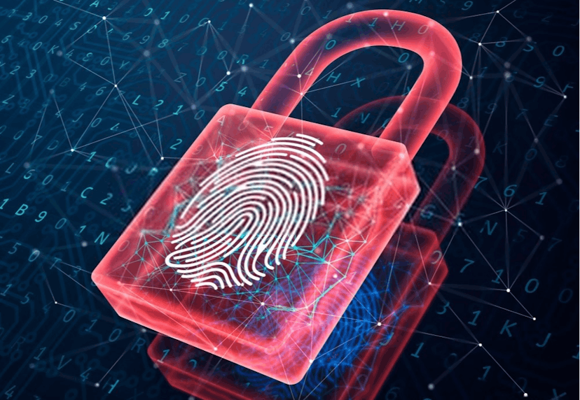 /biometric-authentication-working-methods-and-use-cases-3z2a377p feature image