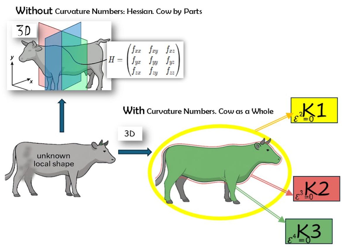 Figure 1. Slices Miss the Cow. Curvature Numbers Mold It Whole.Top figure — Without Curvature Numbers: Hessian (Cow by Parts) The old way — CT-scan math (the Hessian) — cuts the cow into three neat slices. That’s useful for seeing how it bends in each direction, but you still miss how the body twists between slices. You never capture the cow itself, only disconnected cross-sections. Bottom figure — With Curvature Numbers: Cow as a Whole Curvature numbers work differently. Instead of slicing, they wrap the cow directly in molds. K1 lays a broad yellow outline for a safe enclosure. K2 refines it with a red halo that bends with the body. K3 finishes with a green skin that hugs the surface, trimming away what doesn’t matter. Step by step, the rough sketch becomes a faithful mold. Optimizers can now move with confidence, because they see the whole shape at once, not just slices. Image created by the author with Stable Diffusion