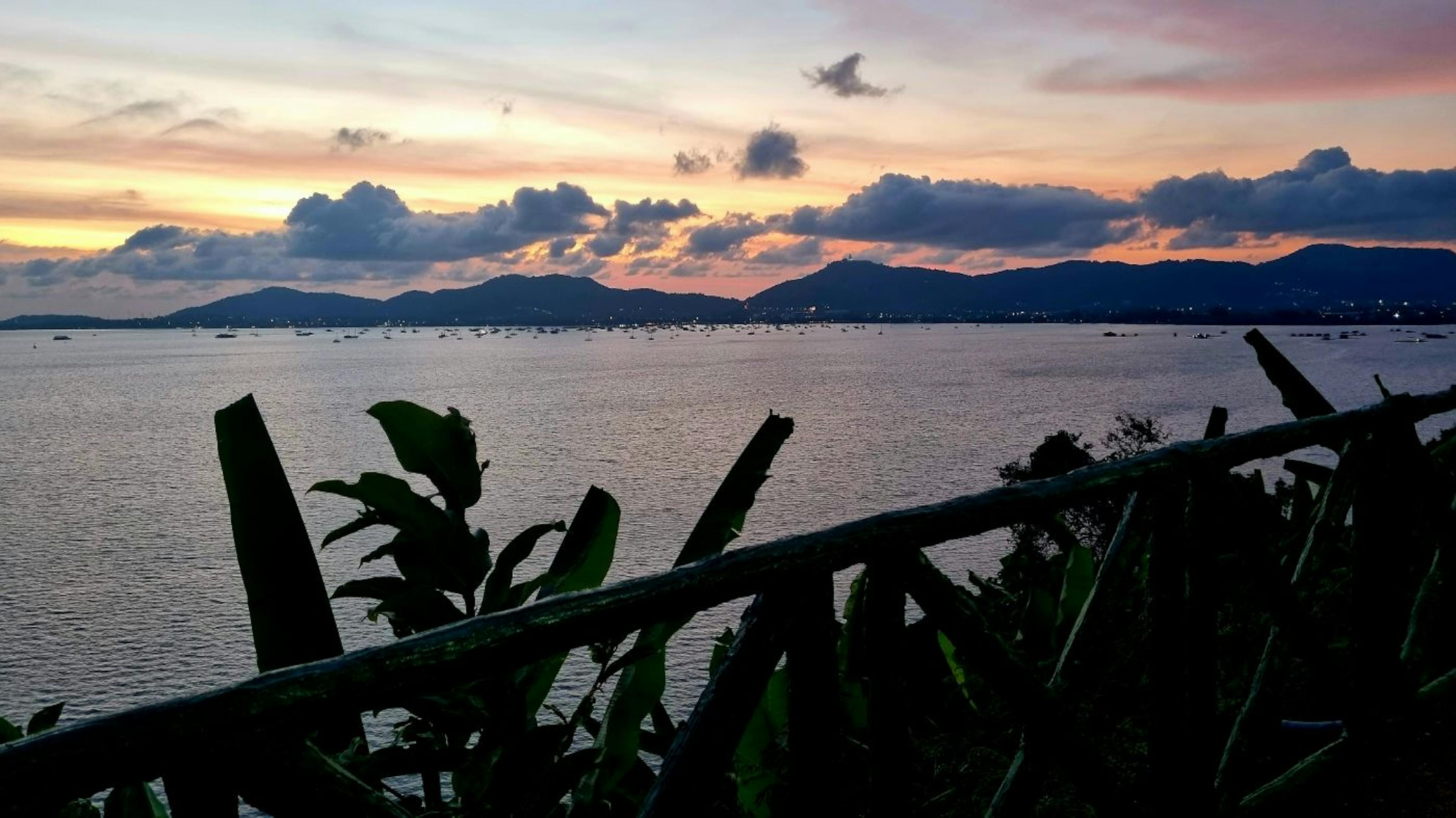 /how-i-switched-from-my-traditional-career-path-to-a-tech-savvy-software-developer feature image