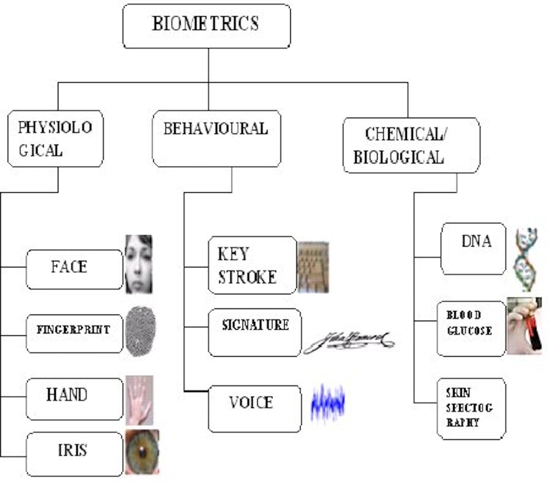 Biometric traits. Source: Meka et al., 2011.