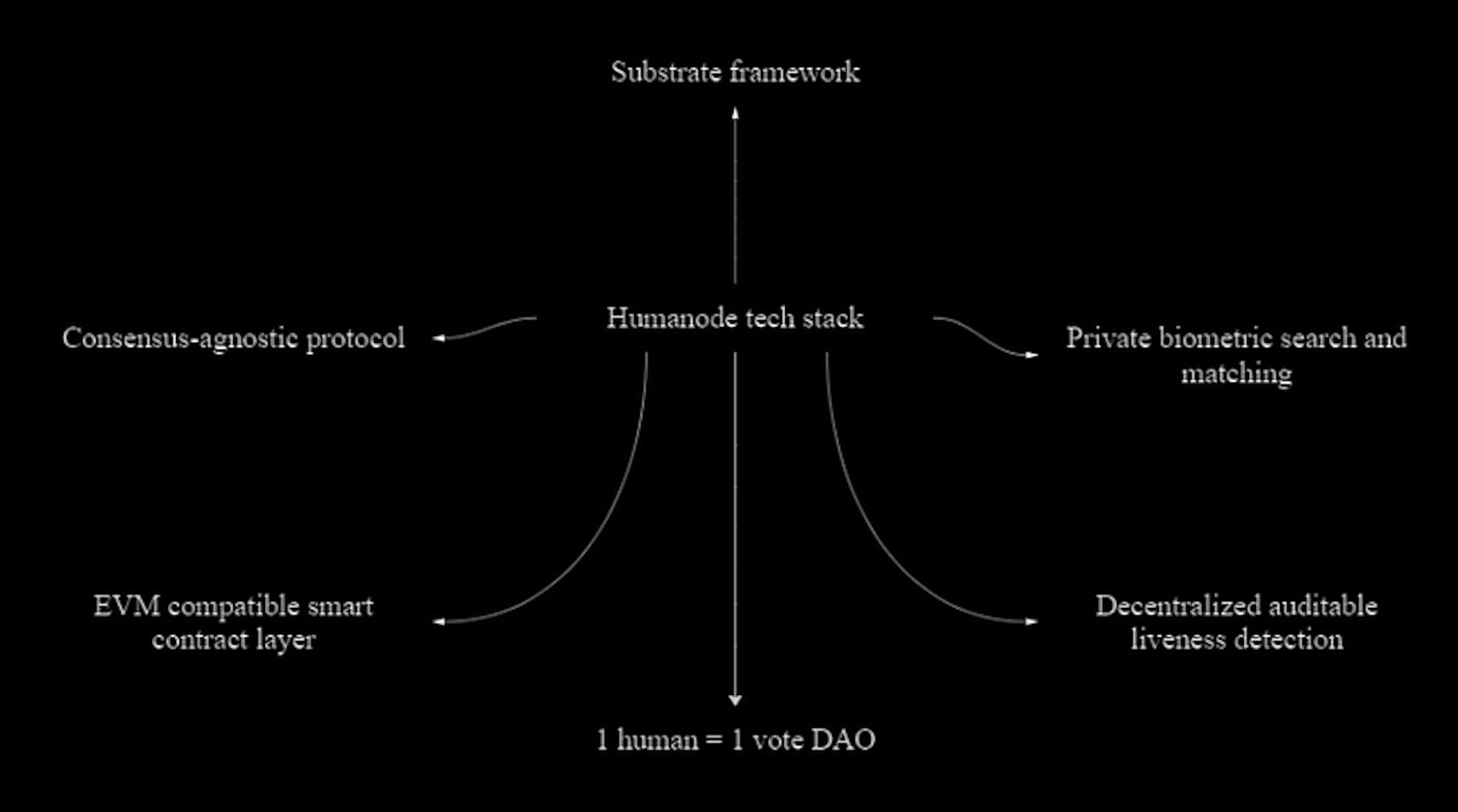 Scheme 5. Humanode tech stack.