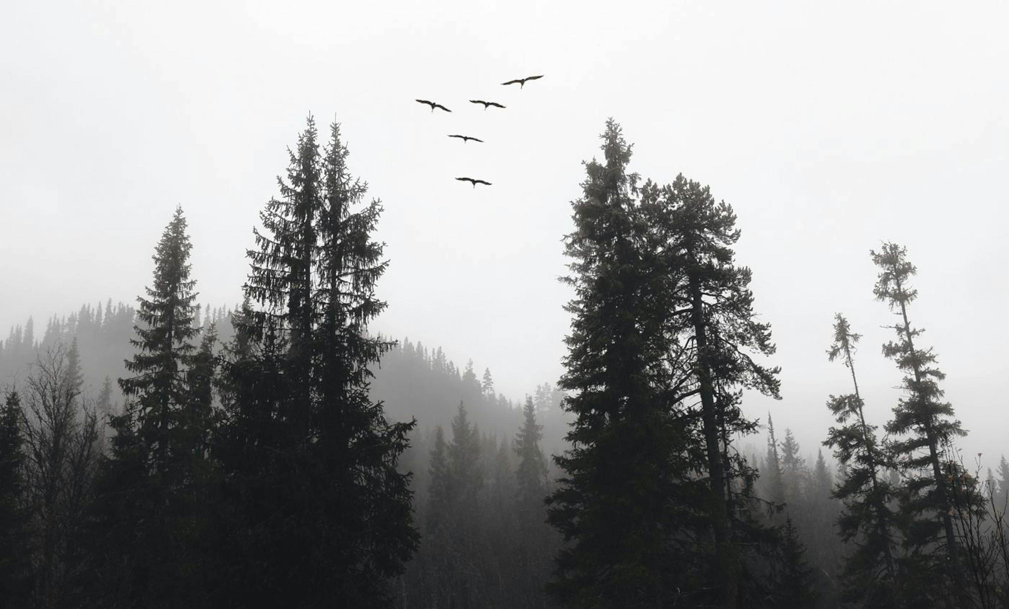 /migrating-from-heroku-to-render feature image