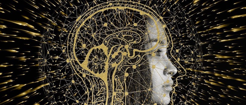 /how-the-quantum-computer-will-change-our-lives-im1q34f3 feature image