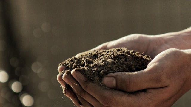 /fighting-poverty-with-cryptocurrency-a-new-age-of-economic-development-xqw37np feature image