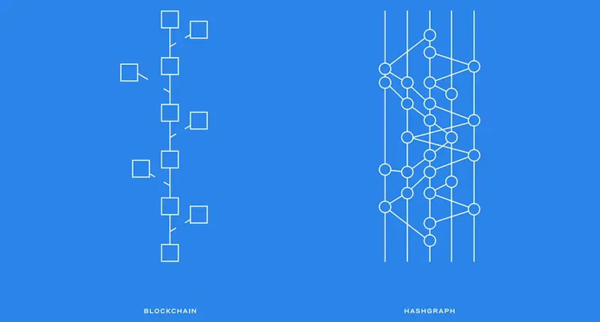 Blockchain vs. Hashgraph. Image by Hedera
