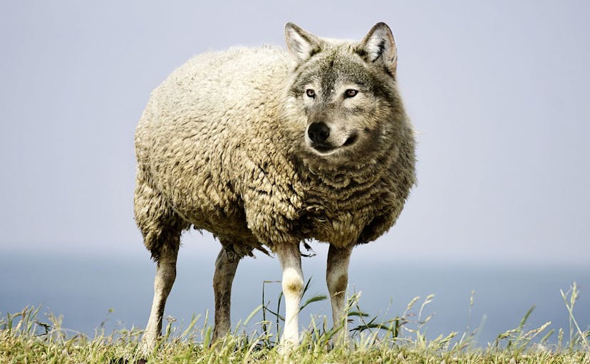 /cbdcs-how-dangerous-are-they feature image