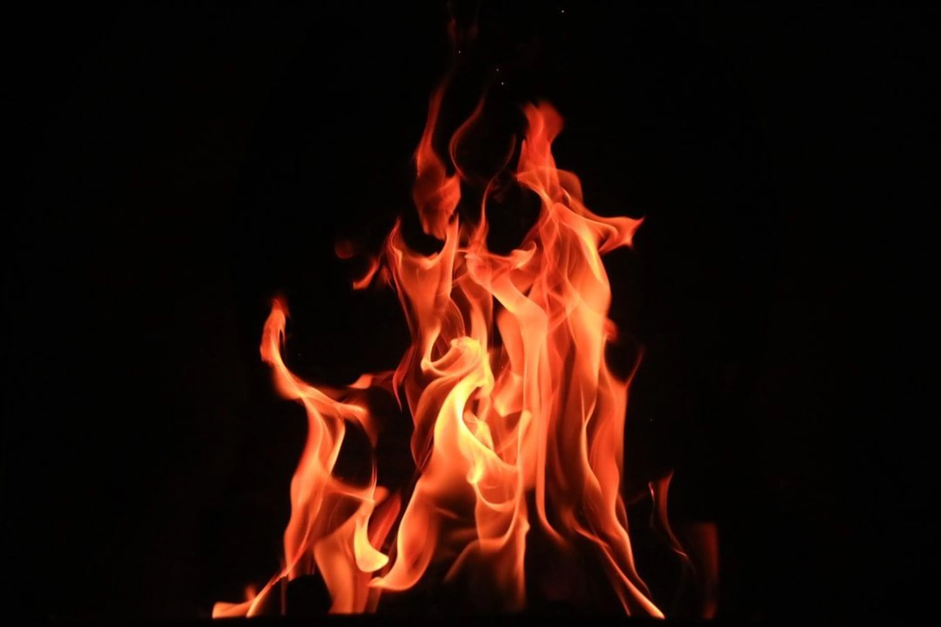 Learn Repo's image-6457a8