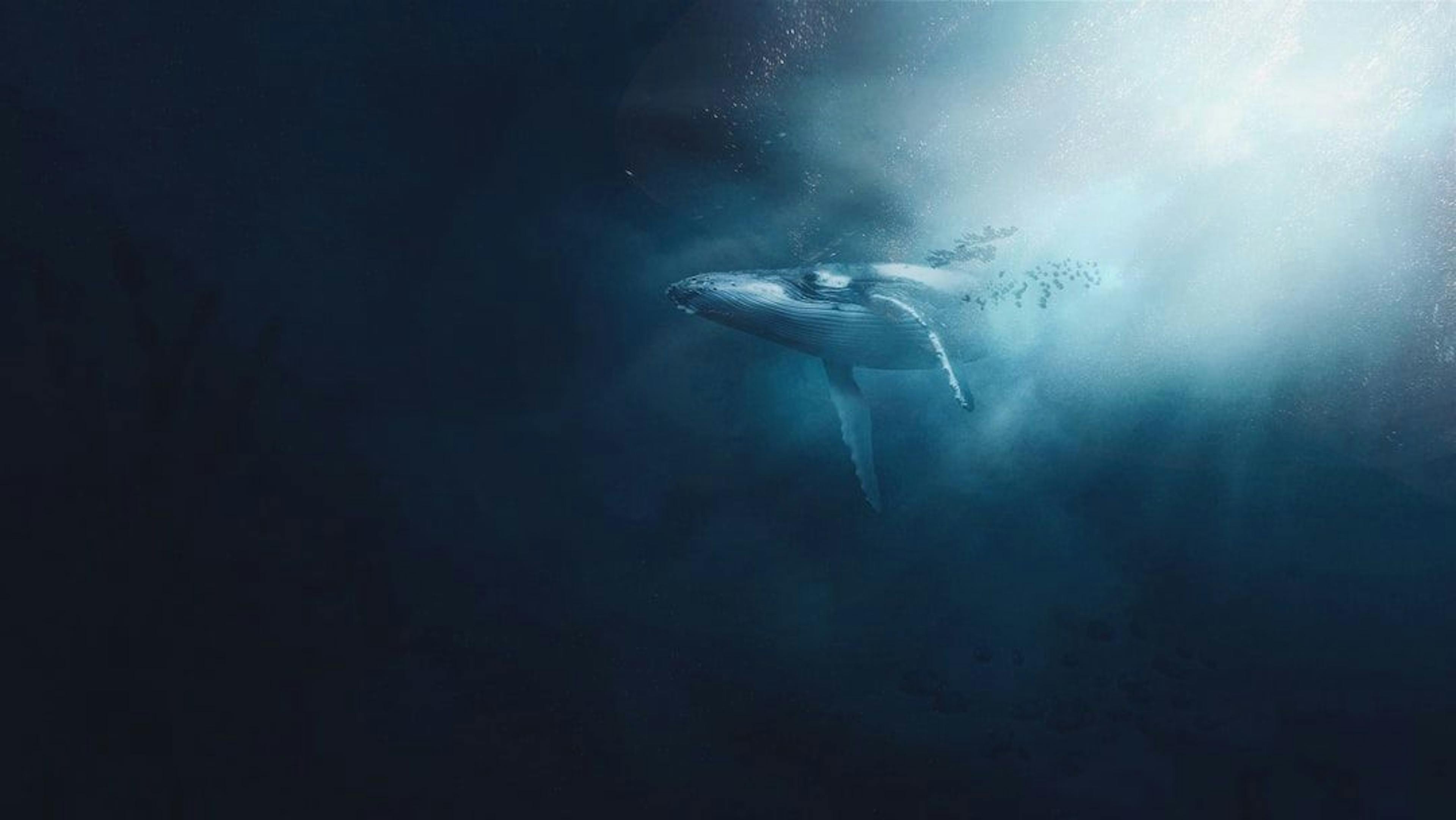/moby-dick-or-the-whale-chapter-35-the-specksnyder feature image