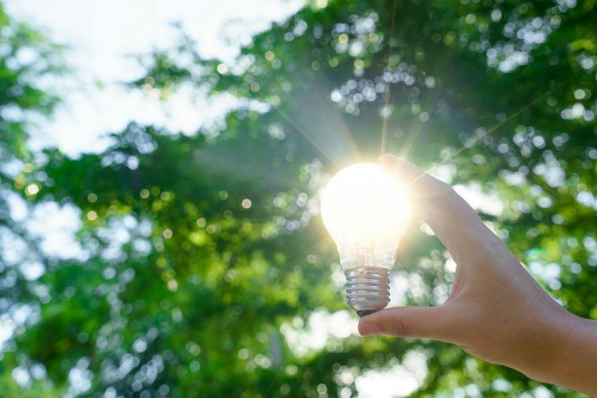 featured image - 3 Key Considerations when Recruiting for Clean Tech Startups