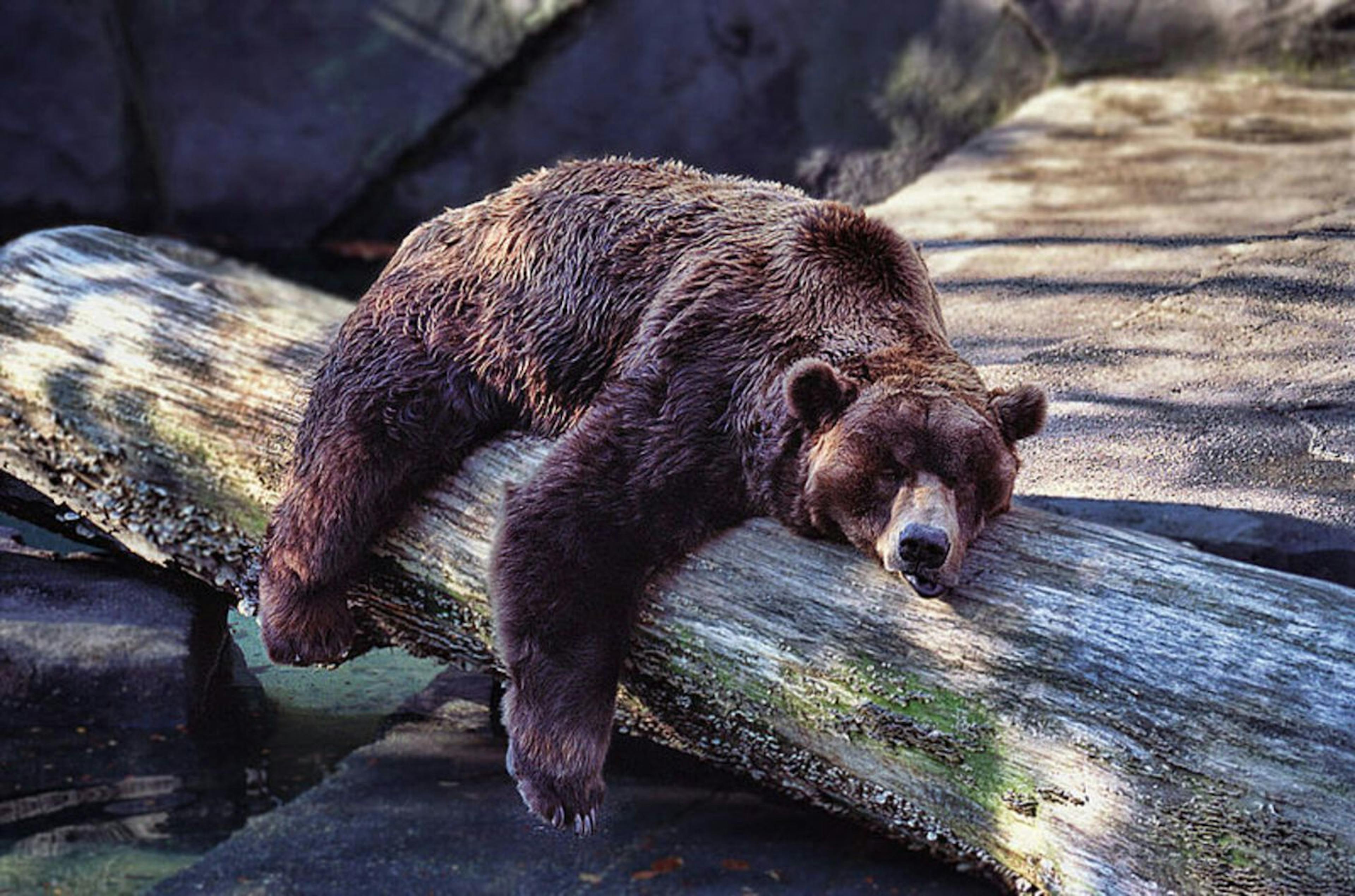 featured image - Salesforce NFT Cloud is Doing More for Web3 than Web3 startups