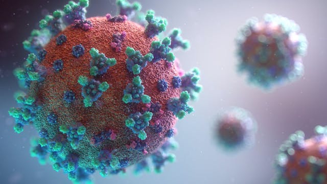 /covid-19-how-has-the-pandemic-changed-our-society feature image