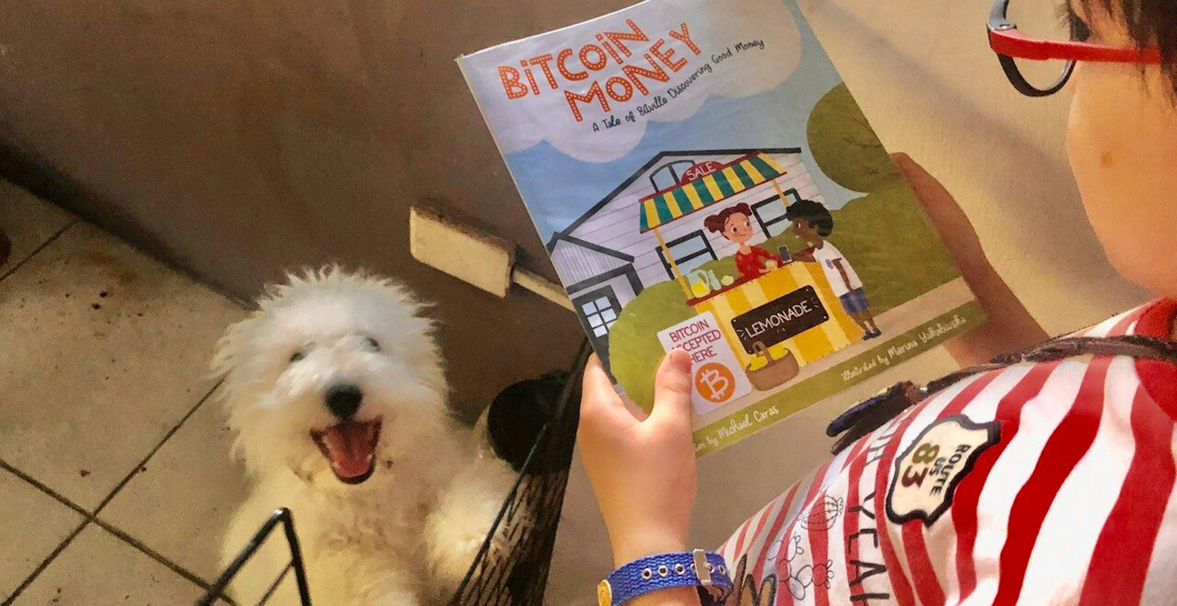 Bitcoin Dodging Doge as Doge Dodges Bit by Bit