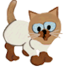 Mango Cat