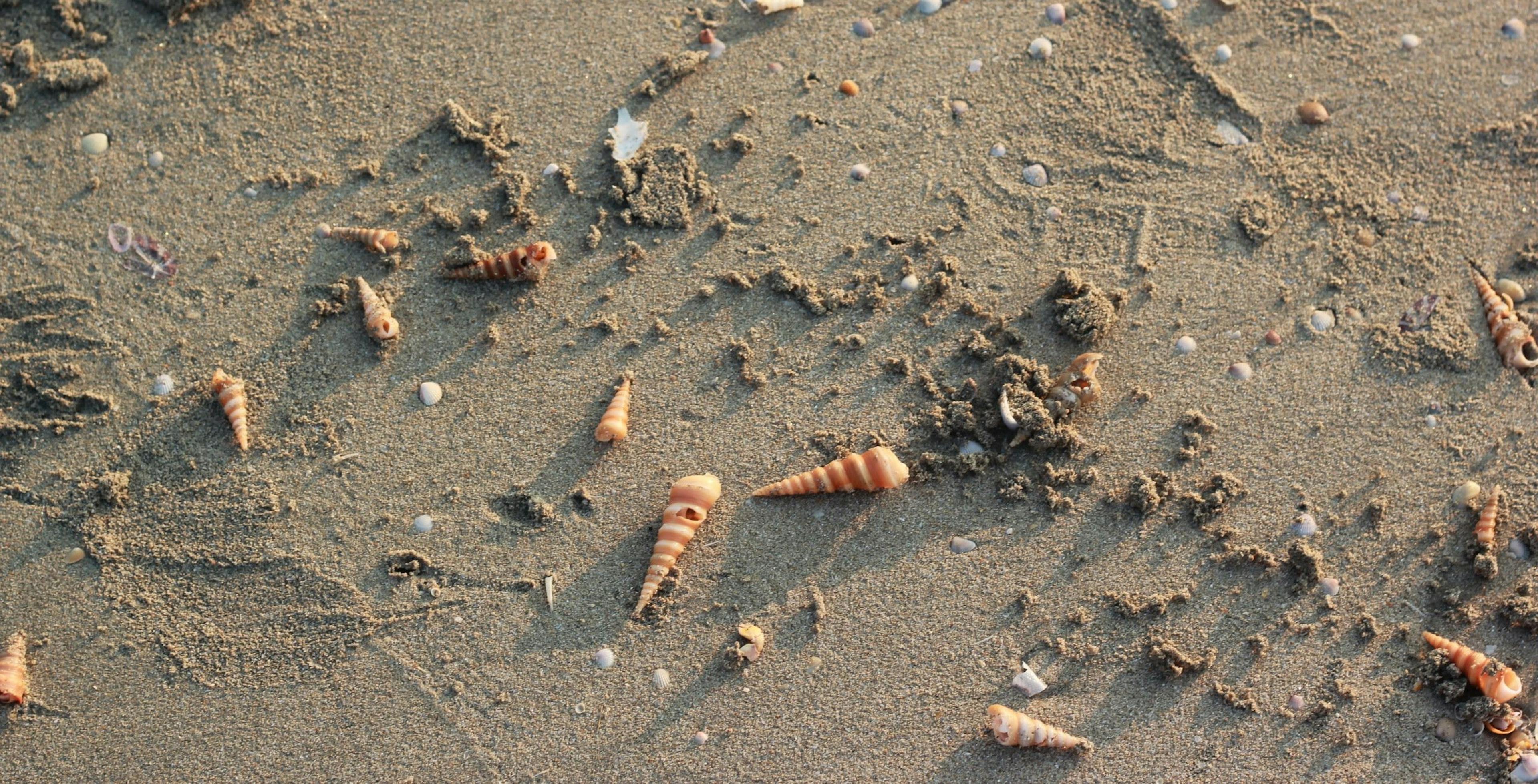 featured image - RCA for Tech Managers : How to approach a Product Issue