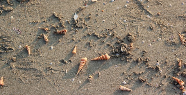 /rca-for-tech-managers-how-to-approach-a-product-issue feature image