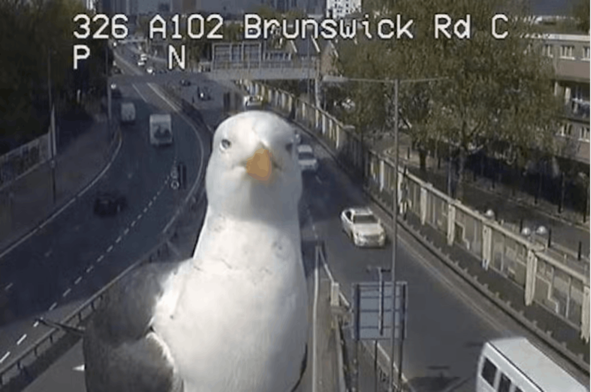 Still from the A102 Brunswick Road Jam Cam… object detection does have it’s weaknesses