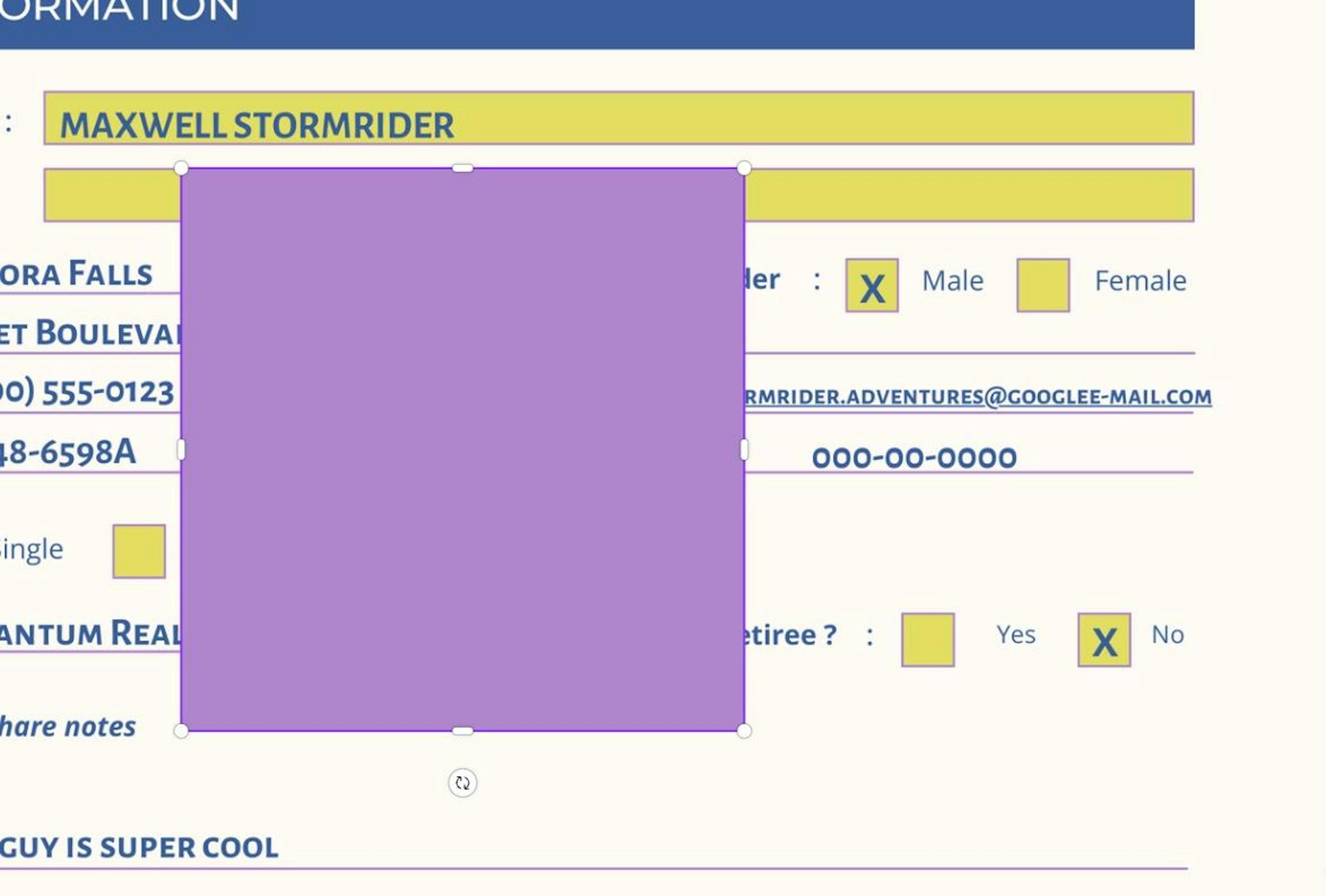 How to Black Out Text in a PDF with Photoshop or for Free in Canva ...
