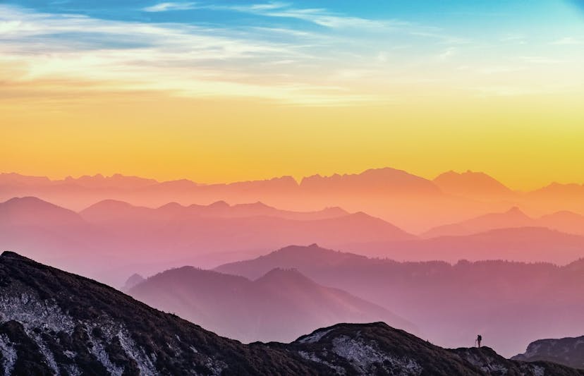 /a-commitment-to-a-pristine-world-ecology-by-the-nft-ecosystem-xsx34d2 feature image
