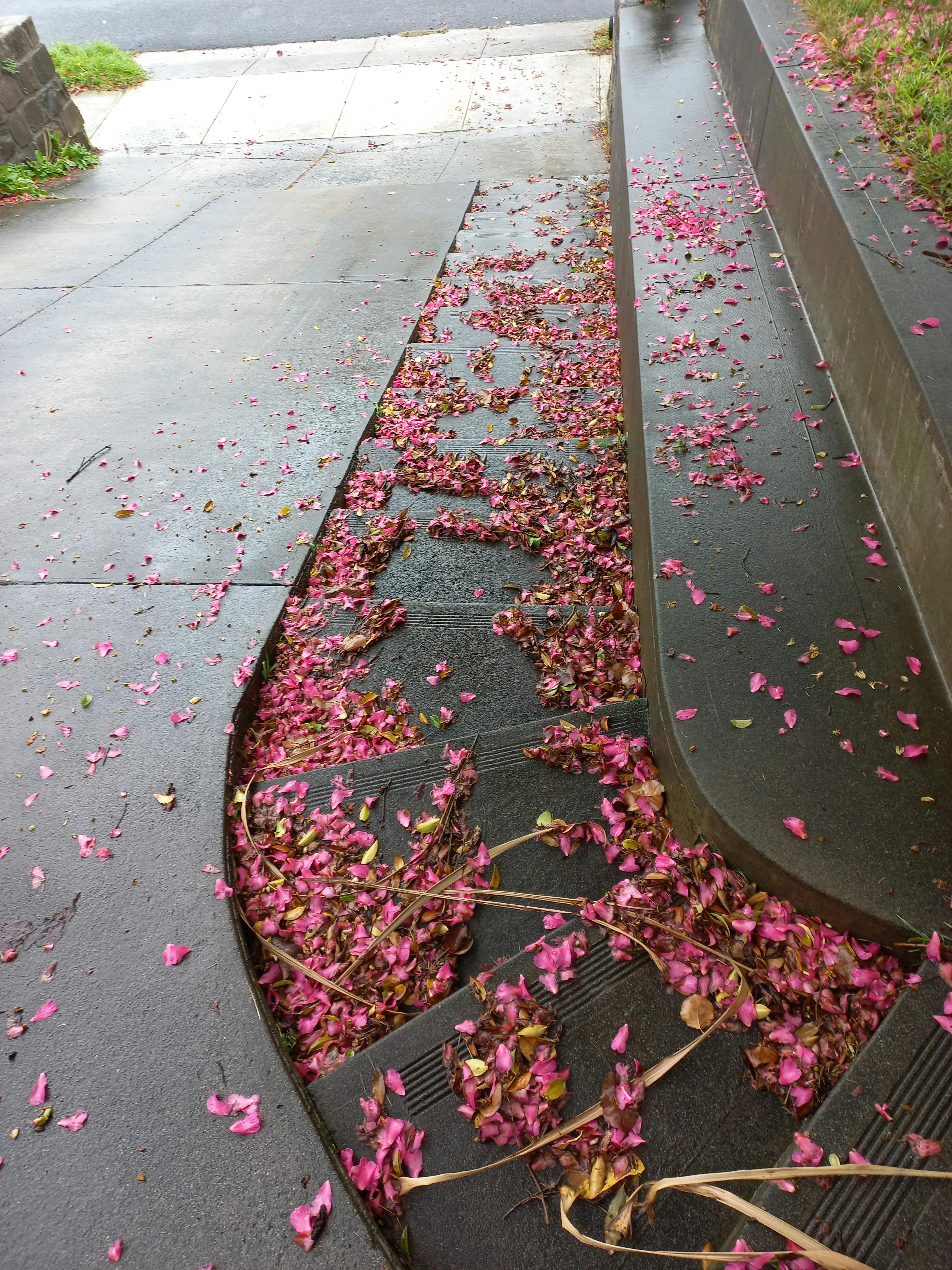 featured image - The Unraveling Stillness: Flux as the Hidden Pulse of the Universe