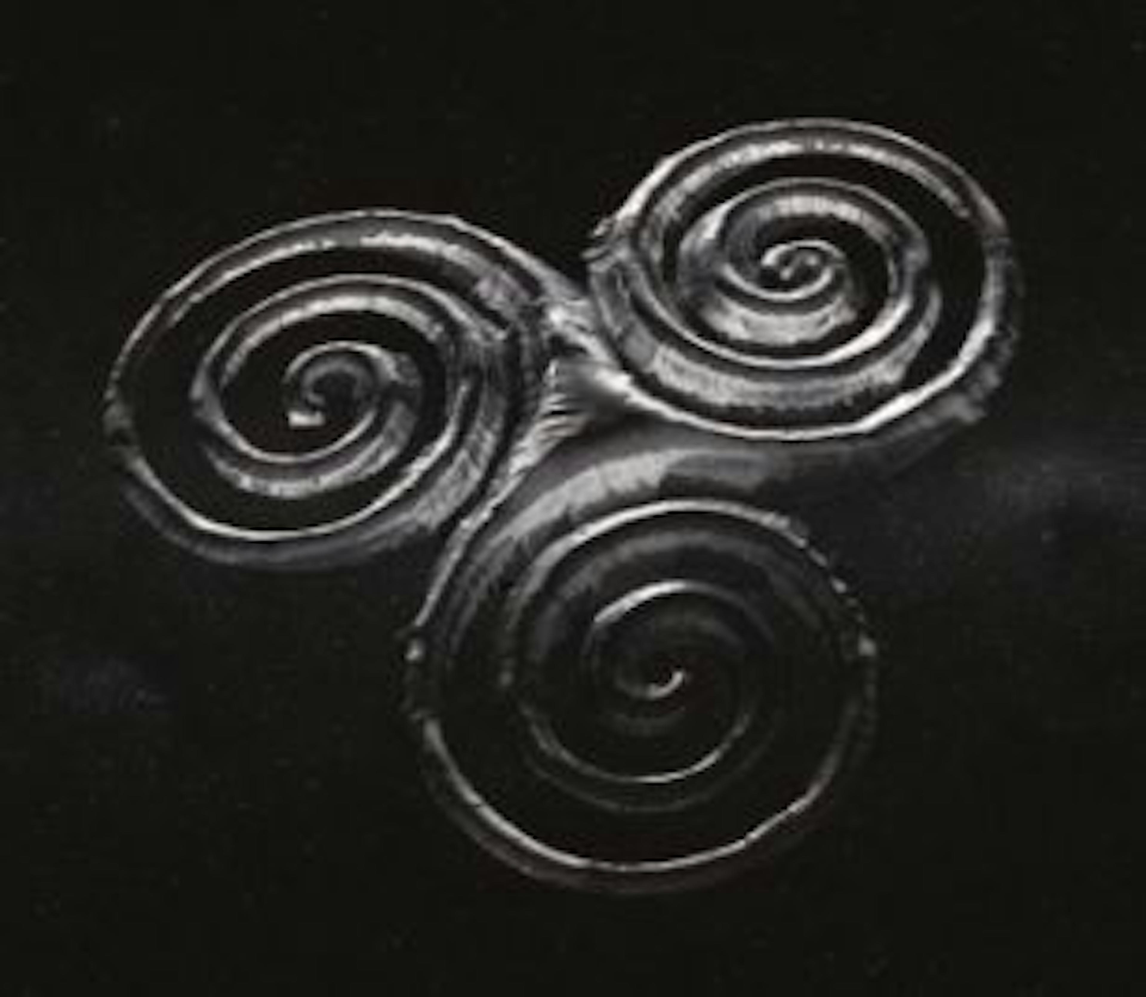 /cryptosociety-20 feature image