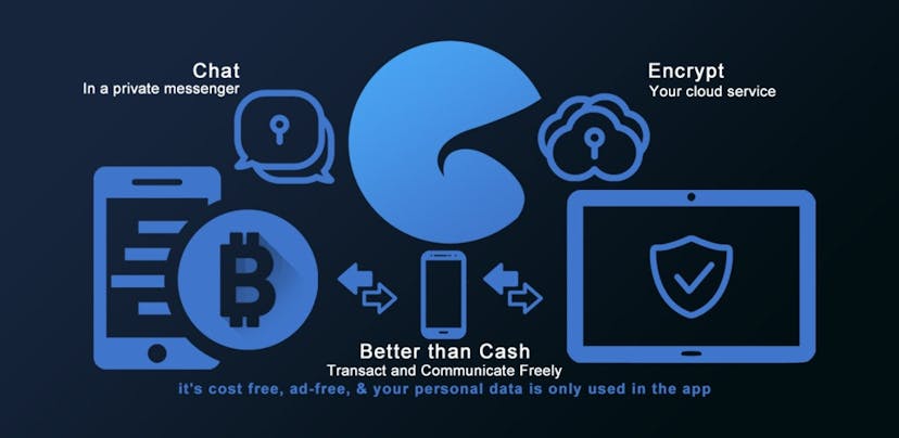 /better-than-cash-introducing-1502s-cash-coin feature image