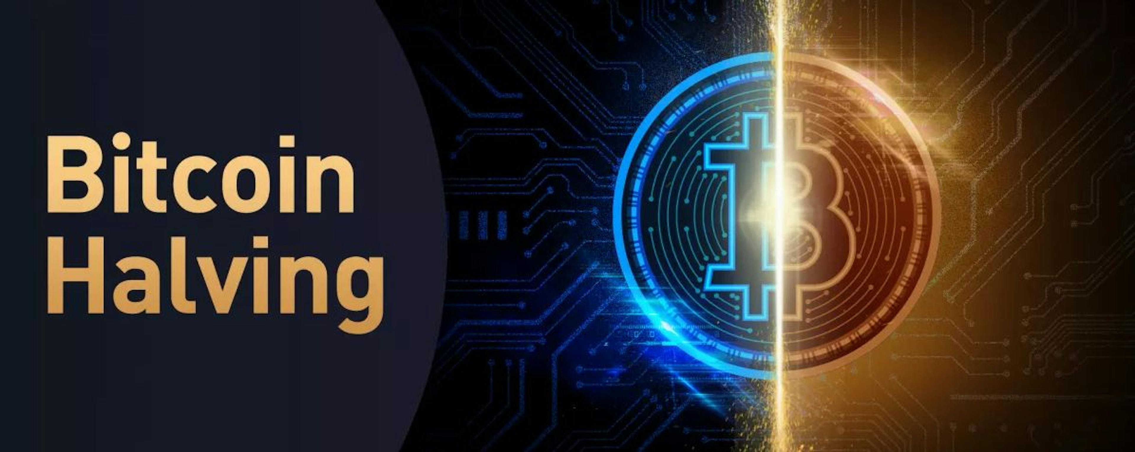 featured image - The Relevance of Bitcoin Halving