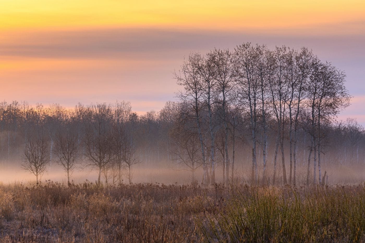 /how-this-man-fueled-election-fraud-conspiracy-theories-in-wisconsin feature image
