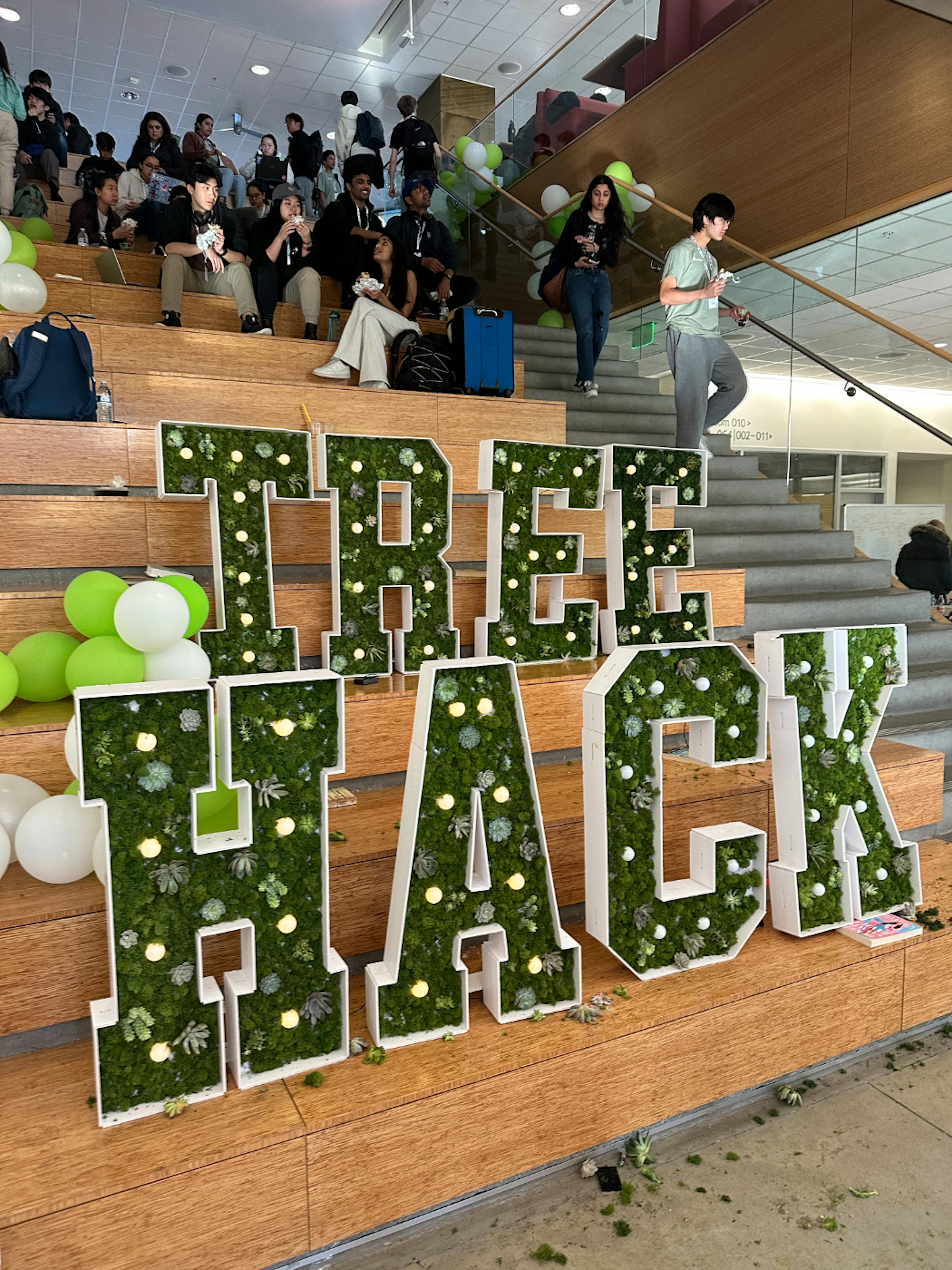 featured image - Charting New Horizons: Exploring AI Innovation at TreeHacks 2024