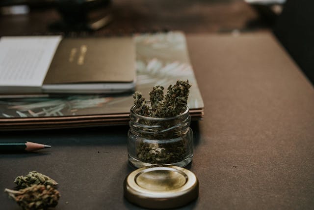 /how-is-ai-disrupting-the-cannabis-tech-industry-bxv35di feature image