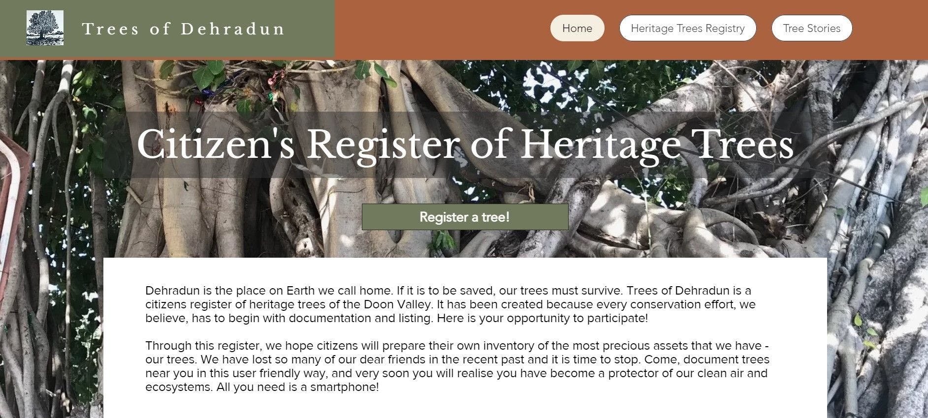 featured image - Building a Heritage Trees Registry with Velo
