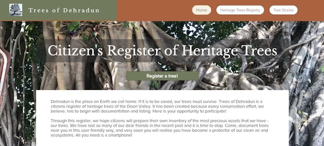 /building-a-heritage-trees-registry-with-velo-2m2u37ep feature image