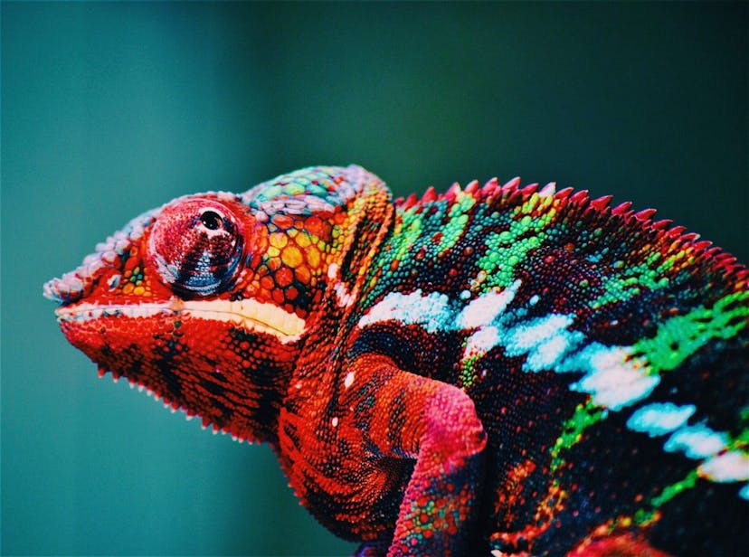 /adversarial-examples-in-machine-learning-explained feature image
