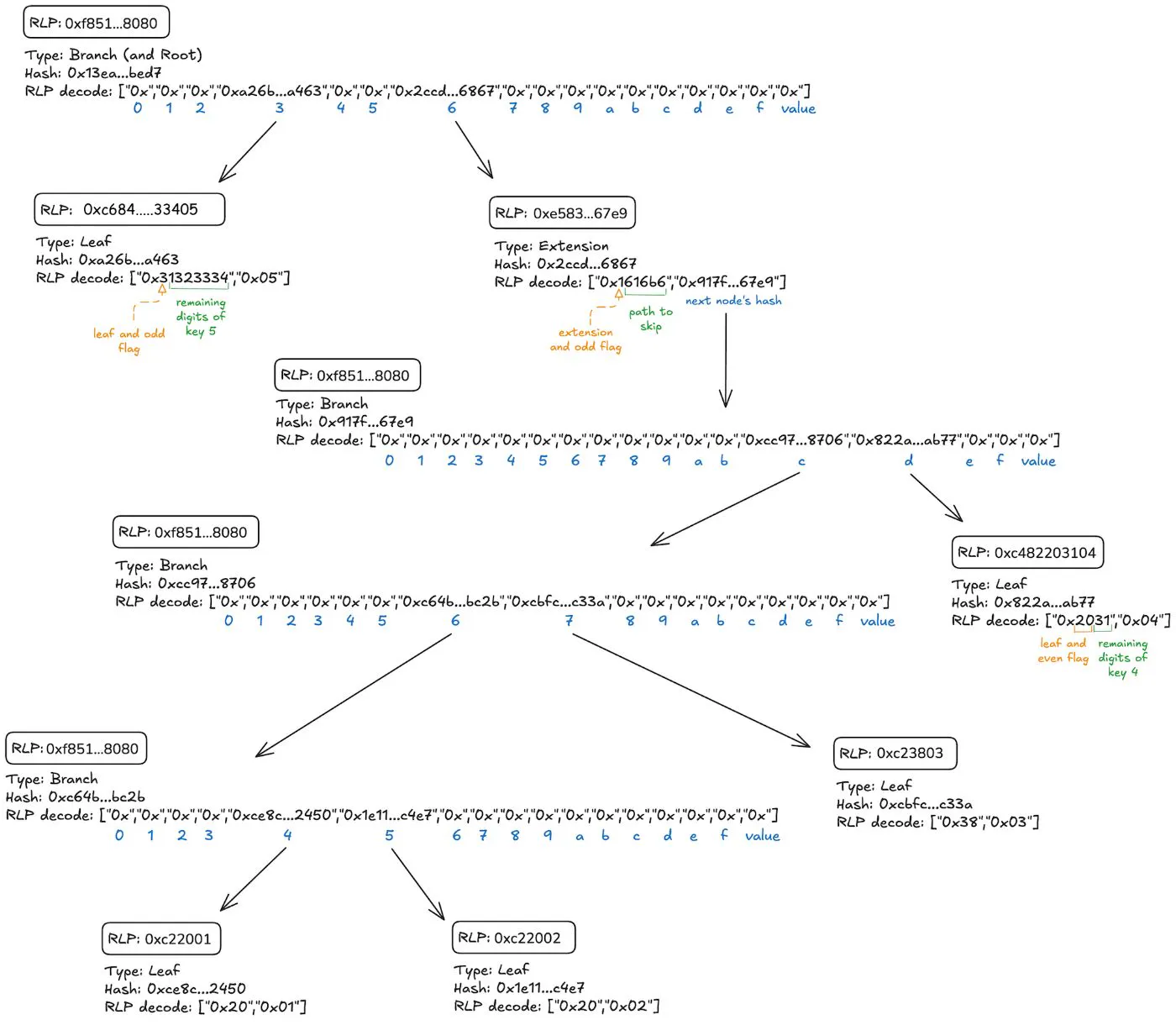 Process Hide Backbone Ethereum’s Hidden Backbone: A Deep Dive Into Merkle Patricia Tries ...