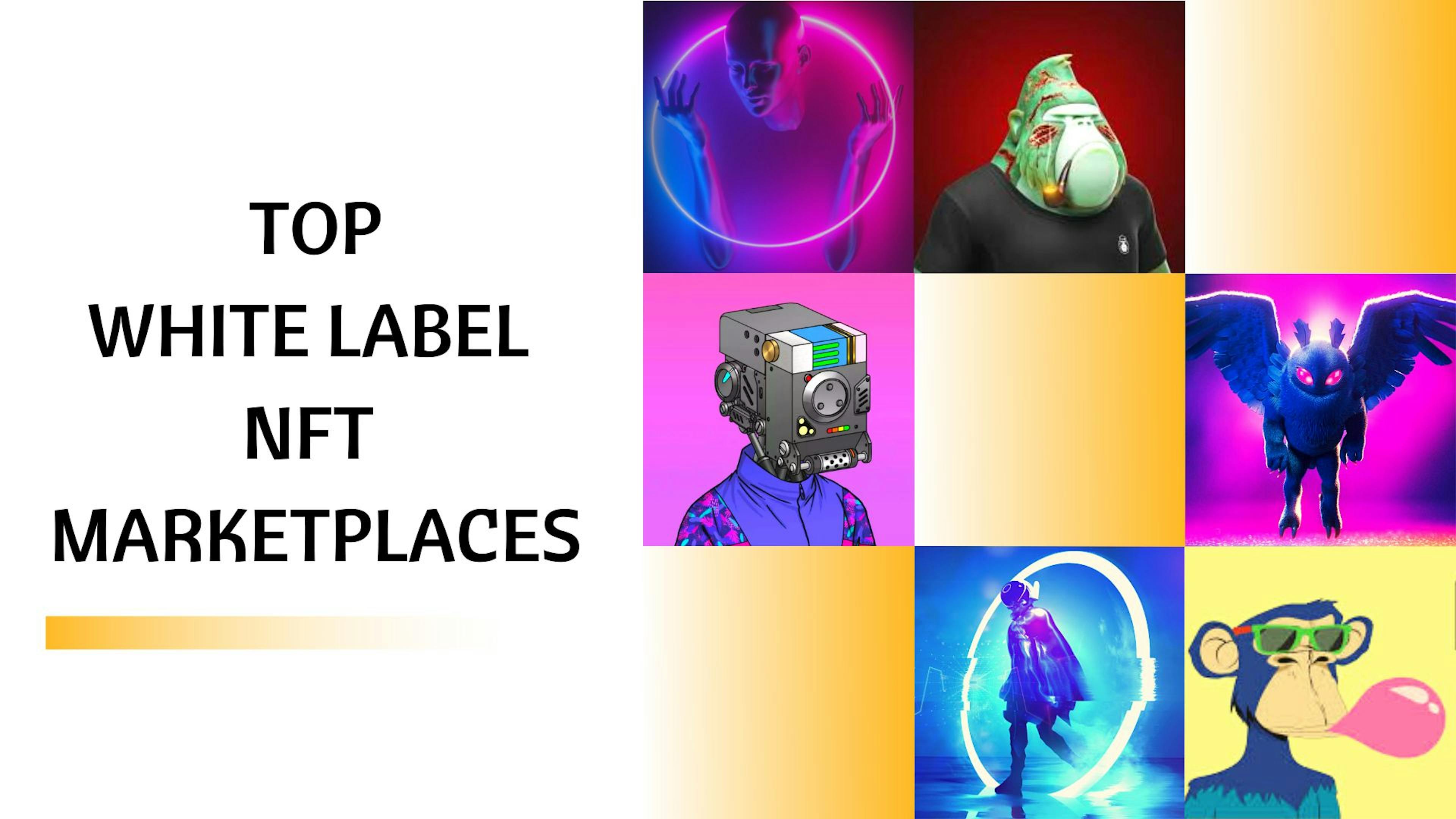 featured image - Top White Label NFT Marketplace
