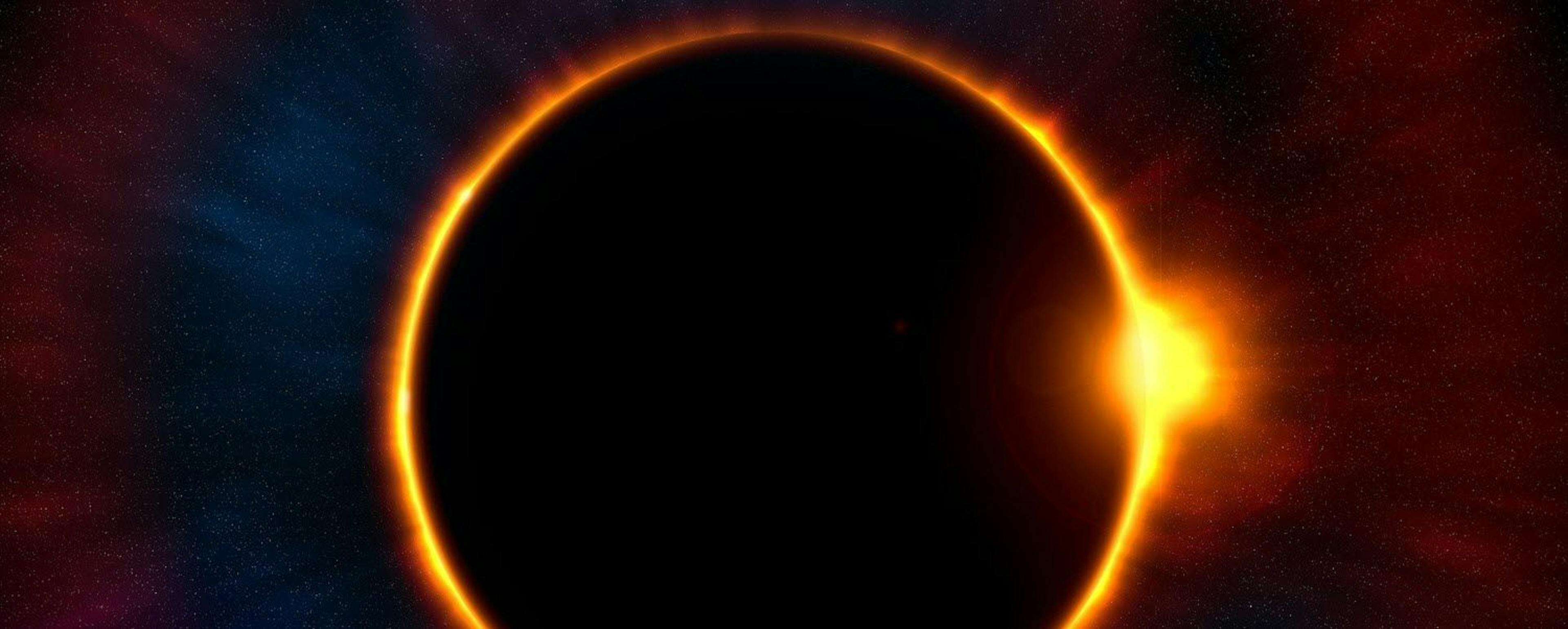 featured image - IDOs Work Like Mangroves