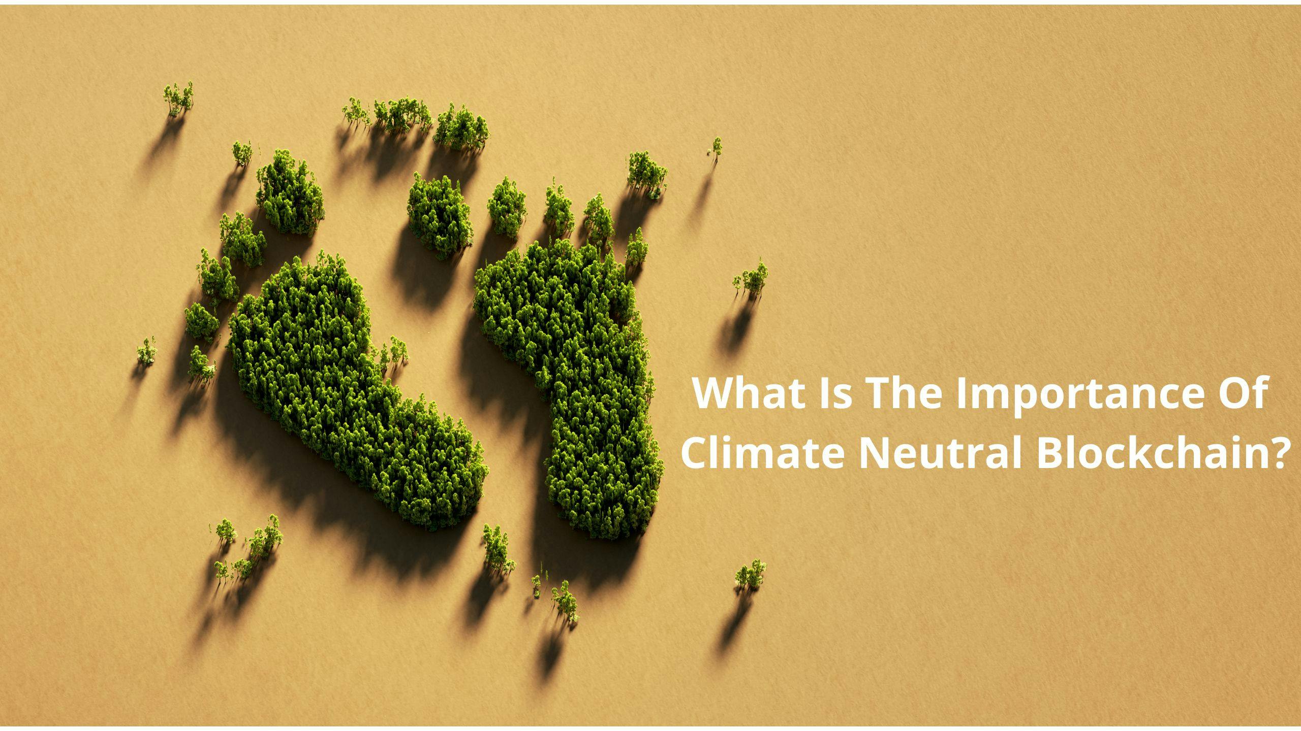/the-undeniable-importance-of-climate-neutral-blockchains-7l1435kt feature image