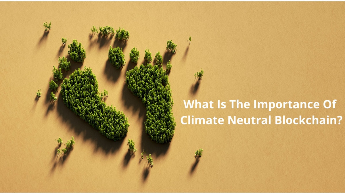 featured image - The Undeniable Importance Of Climate-Neutral Blockchains