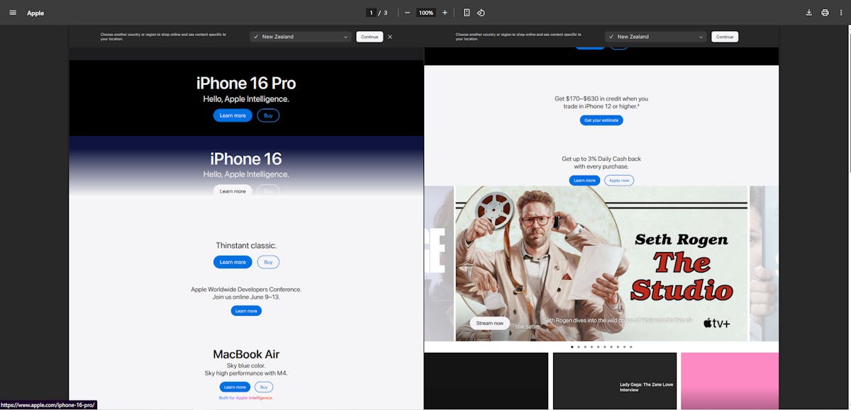 Webpage to PDF Puppeteer Sharp output