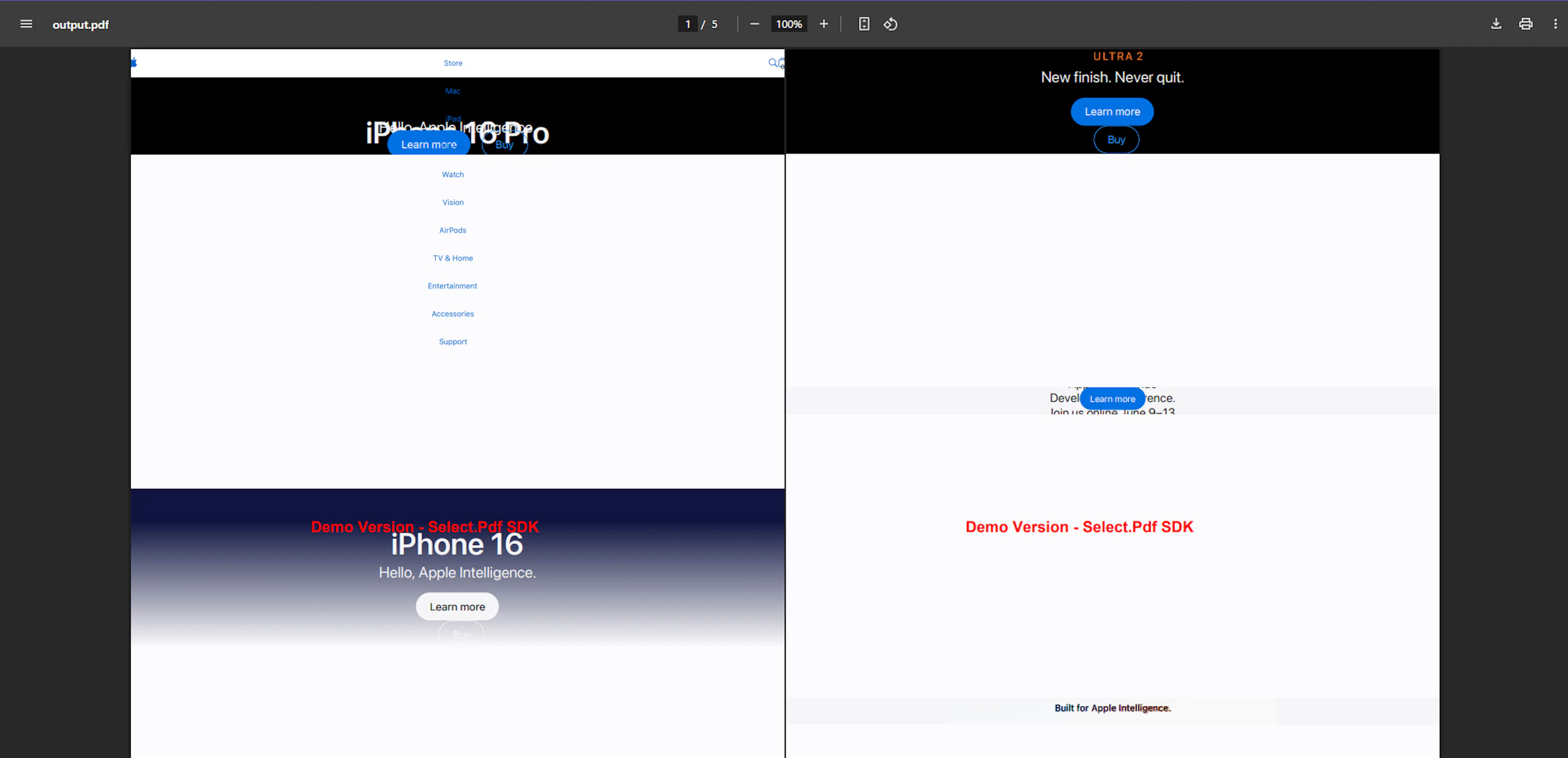 Output PDF for the SelectPDF code example