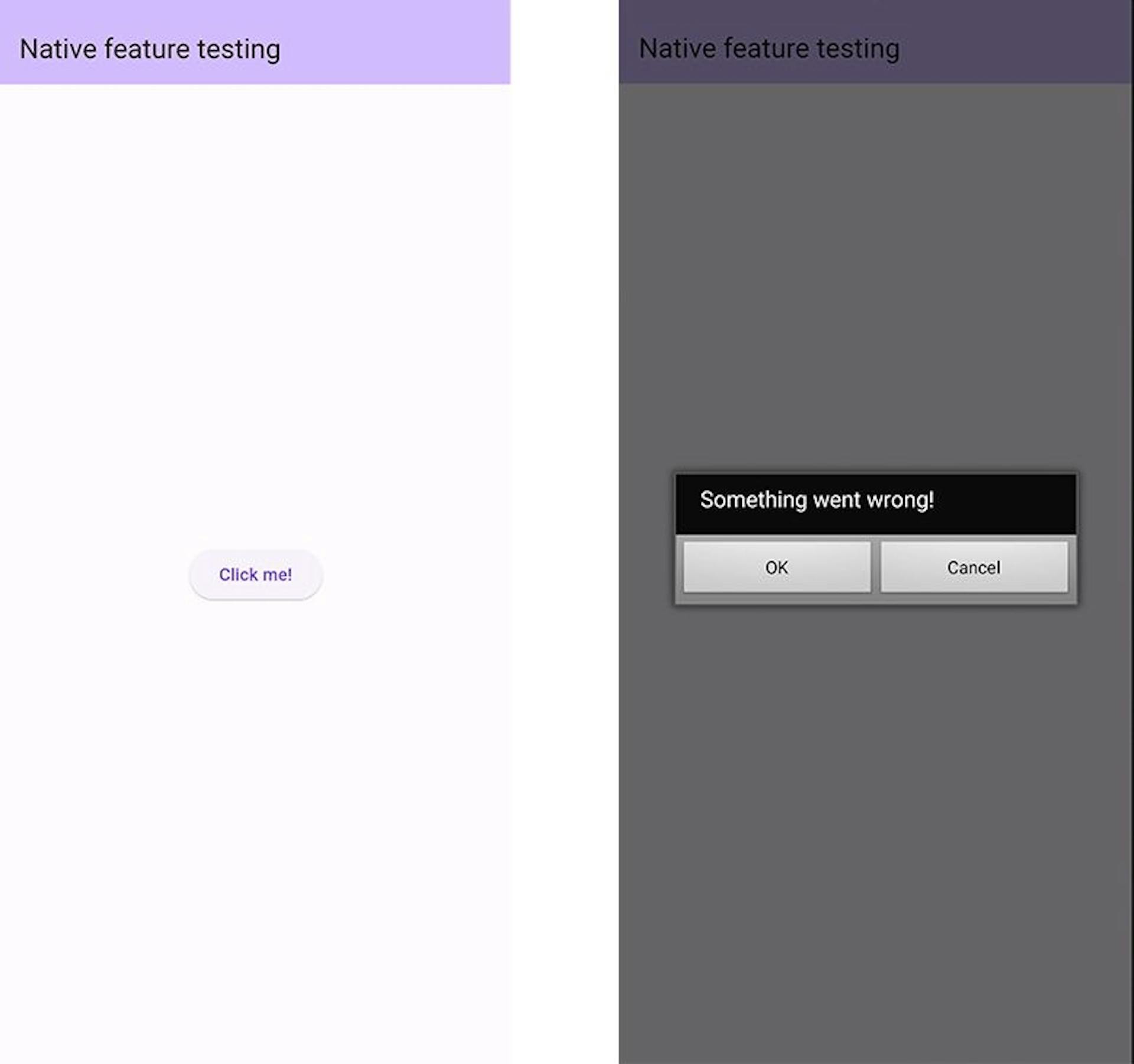 Test app with native features