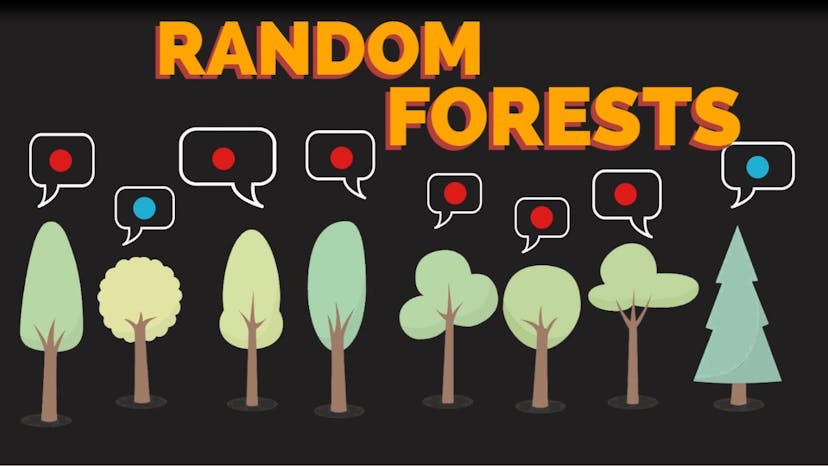 /one-decision-tree-is-a-riska-forest-thats-smart-machine-learning feature image