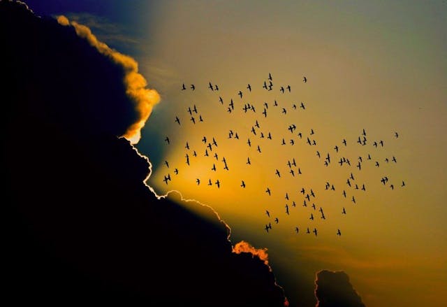 /common-mistakes-to-avoid-when-migrating feature image