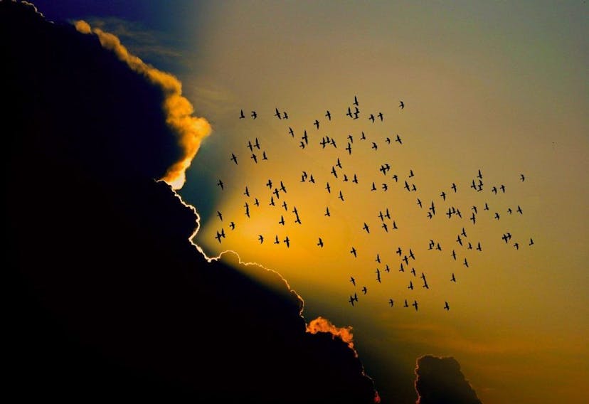 /common-mistakes-to-avoid-when-migrating feature image