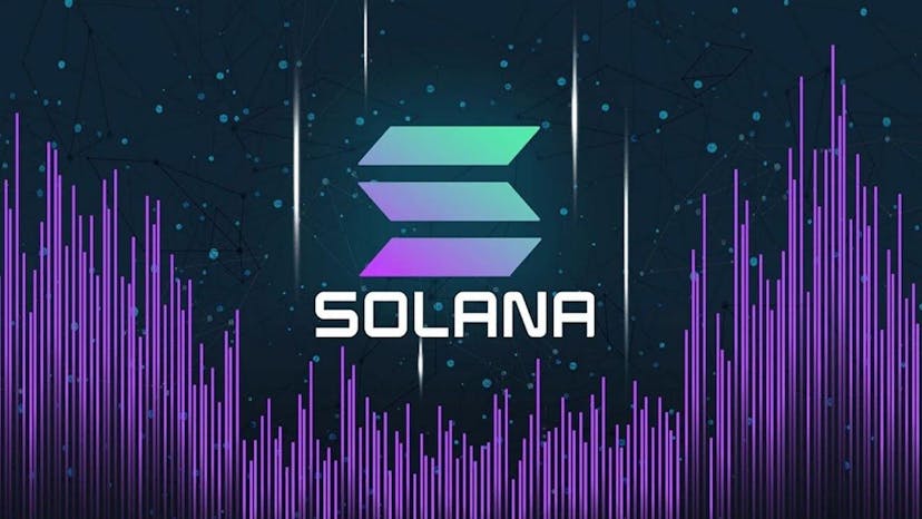 /solana-sol-investors-flock-to-new-cryptocurrency-challenging-bonks-bonk-recent-price-surge feature image