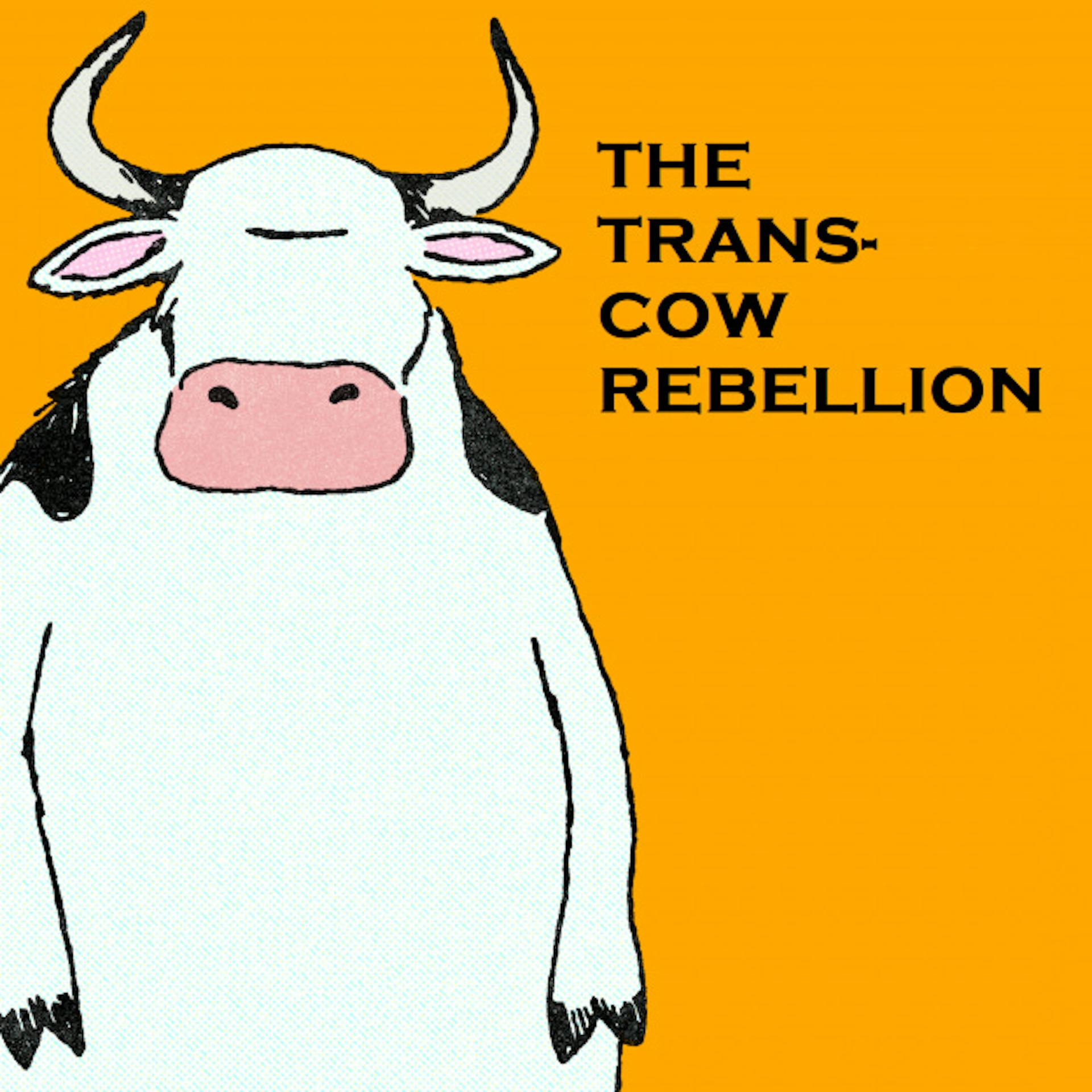 featured image - THE TRANS-COW REBELLION
